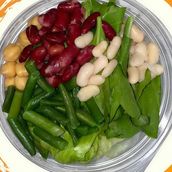 Mix Beans Salad